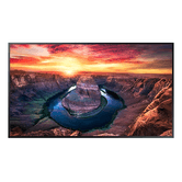 SAMSUNG QM43B   43" IPS IPS 4K Ultra HD HDMI