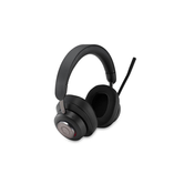 H3000 Bluetooth Headset