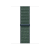 Apple Watch 42 Lake Green SL