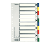 SEPARADOR DE POLIPROPILENO CON 10 POSICIONES FORMATO FOLIO COLORES VIVOS ESSELTE 11610