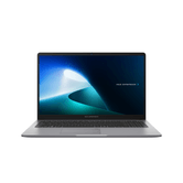 Asus P1503CVA-S70672W i5-13420H 16GB 512 W11H 15