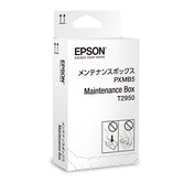 CONSUMIBLE EPSON MANTENIMIENTO WF-100W