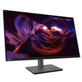 LENOVO P32p-30  ThinkVision 31.5" LED IPS 4K Ultra HD HDMI